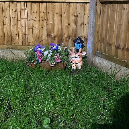 Comfortable Double Room & Single Room In Vibrant Hatfield Neighbourhood Eksteriør billede